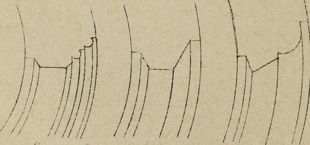 An illustration from La Cattedrale aretina e suoi monumenti, 1880, leaf 50