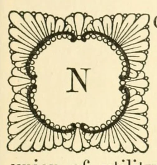 An illustration from The lace book, 1904, leaf 161