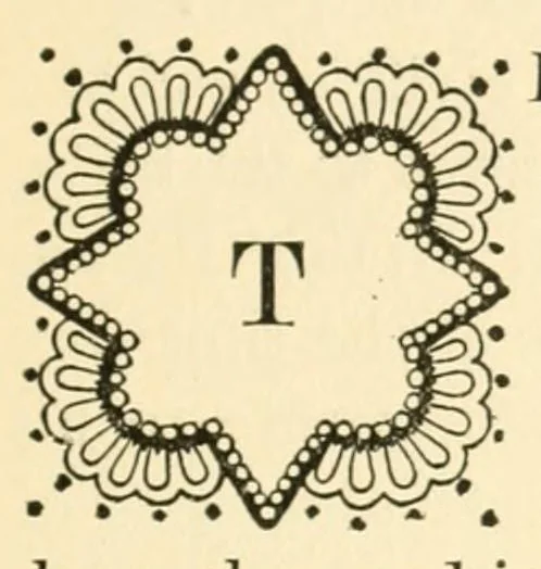 An illustration from The lace book, 1904, leaf 21