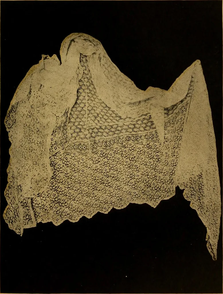 An illustration from The lace book, 1904, leaf 156