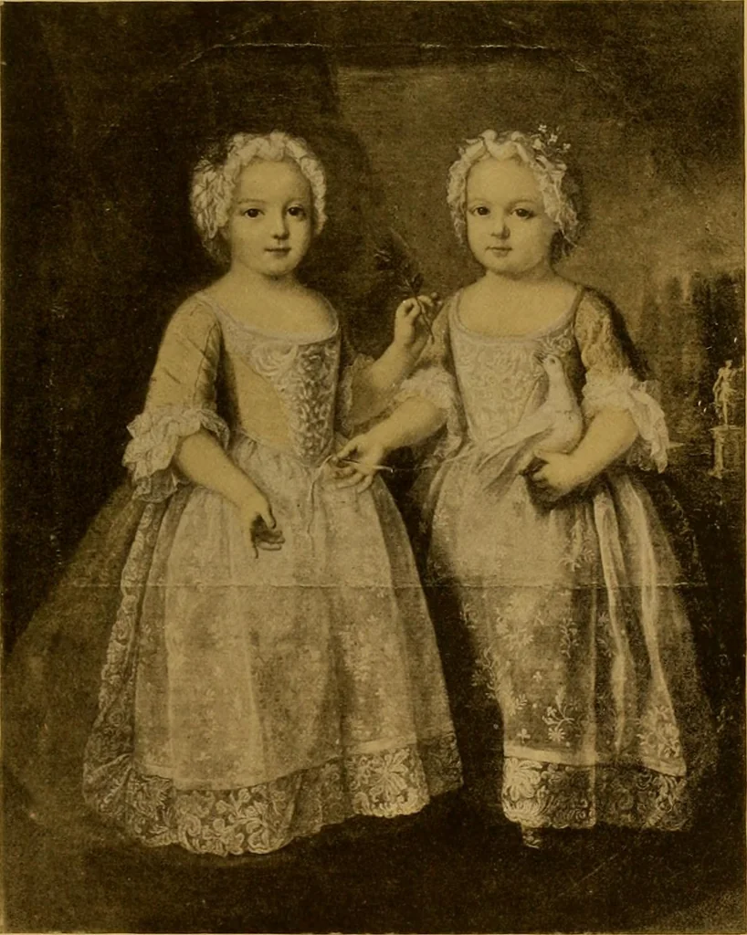 An illustration from The lace book, 1904, leaf 236