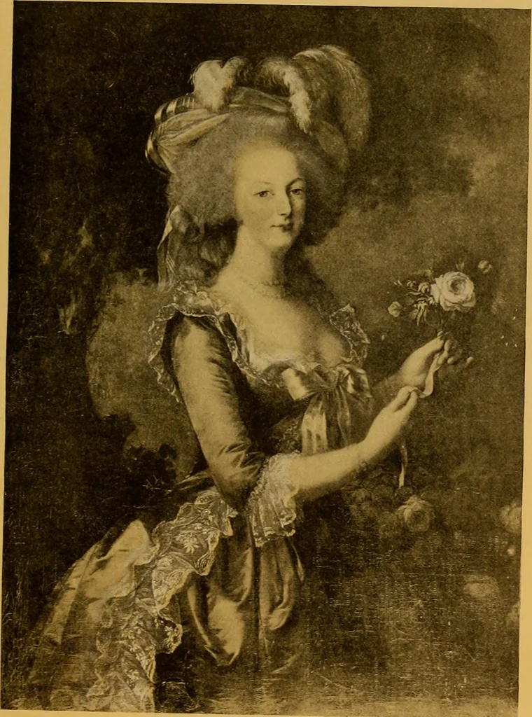 An illustration from The lace book, 1904, leaf 252