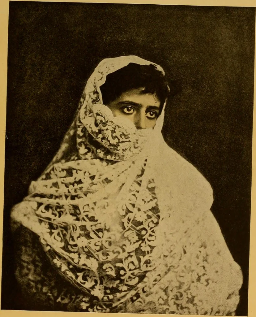 An illustration from The lace book, 1904, leaf 268