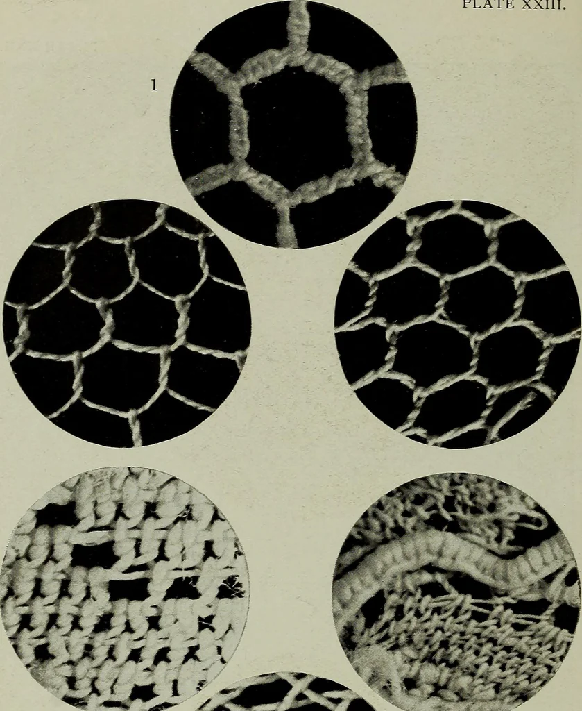 An illustration from The lace & embroidery collector; a guide to collectors of old lace and embroidery, 1922, leaf 267