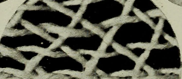 An illustration from The lace & embroidery collector; a guide to collectors of old lace and embroidery, 1922, leaf 267