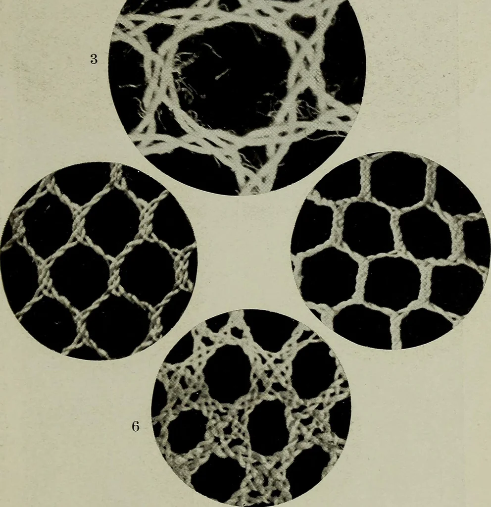 An illustration from The lace & embroidery collector; a guide to collectors of old lace and embroidery, 1922, leaf 268
