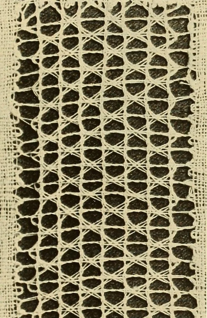 An illustration from A lace guide for makers and collectors; with bibliography and five-language nomenculture, profusely illus. with halftone plates and key designs, 1920, leaf 100