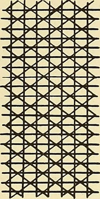 An illustration from A lace guide for makers and collectors; with bibliography and five-language nomenculture, profusely illus. with halftone plates and key designs, 1920, leaf 100