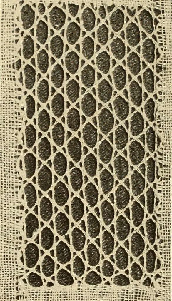 An illustration from A lace guide for makers and collectors; with bibliography and five-language nomenculture, profusely illus. with halftone plates and key designs, 1920, leaf 101