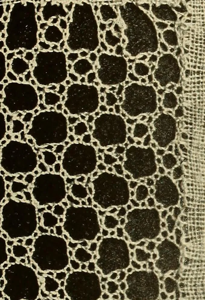 An illustration from A lace guide for makers and collectors; with bibliography and five-language nomenculture, profusely illus. with halftone plates and key designs, 1920, leaf 102