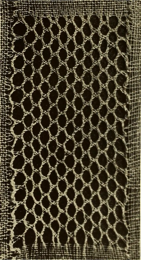 An illustration from A lace guide for makers and collectors; with bibliography and five-language nomenculture, profusely illus. with halftone plates and key designs, 1920, leaf 103