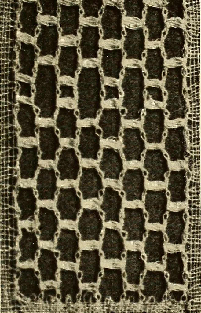 An illustration from A lace guide for makers and collectors; with bibliography and five-language nomenculture, profusely illus. with halftone plates and key designs, 1920, leaf 104