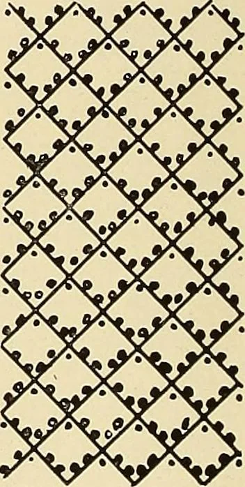 An illustration from A lace guide for makers and collectors; with bibliography and five-language nomenculture, profusely illus. with halftone plates and key designs, 1920, leaf 105