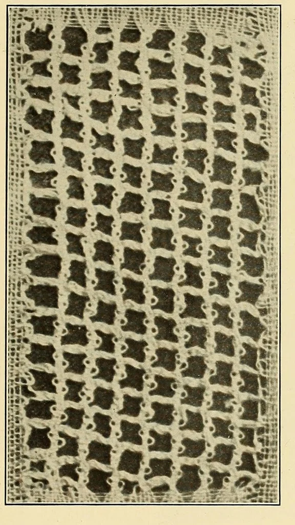 An illustration from A lace guide for makers and collectors; with bibliography and five-language nomenculture, profusely illus. with halftone plates and key designs, 1920, leaf 106