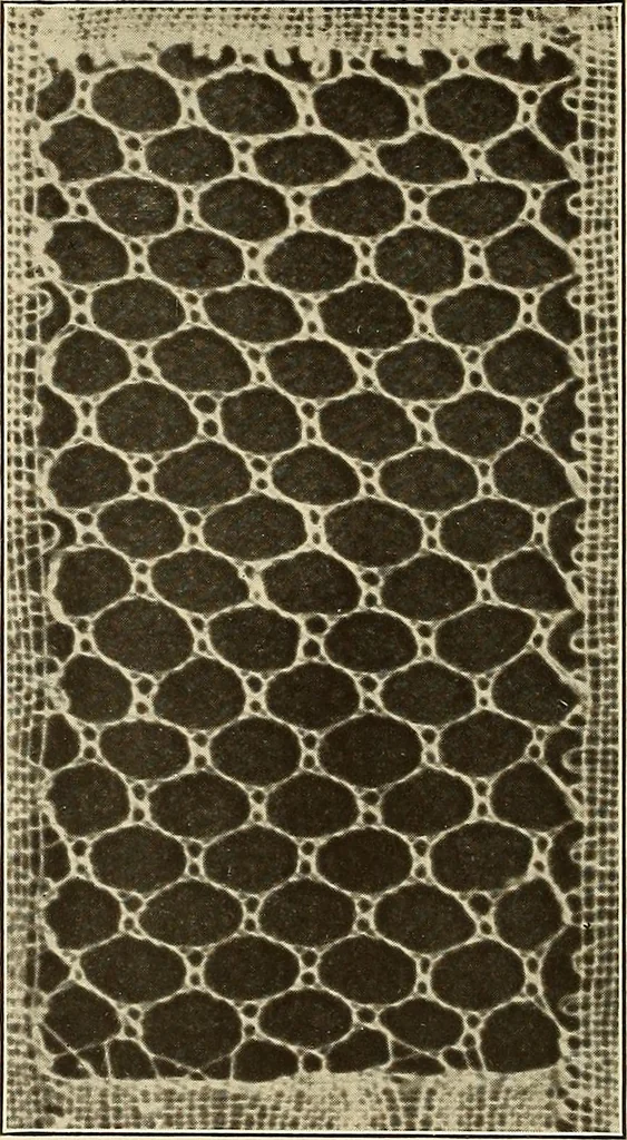 An illustration from A lace guide for makers and collectors; with bibliography and five-language nomenculture, profusely illus. with halftone plates and key designs, 1920, leaf 107
