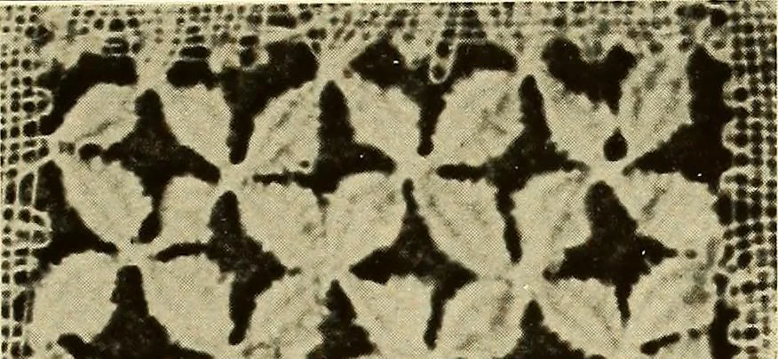 An illustration from A lace guide for makers and collectors; with bibliography and five-language nomenculture, profusely illus. with halftone plates and key designs, 1920, leaf 112