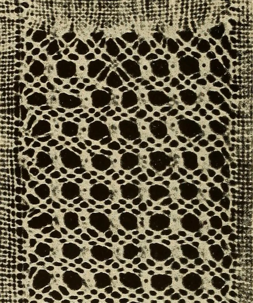 An illustration from A lace guide for makers and collectors; with bibliography and five-language nomenculture, profusely illus. with halftone plates and key designs, 1920, leaf 113