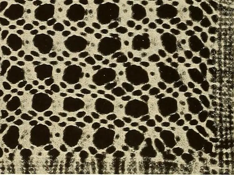 An illustration from A lace guide for makers and collectors; with bibliography and five-language nomenculture, profusely illus. with halftone plates and key designs, 1920, leaf 113