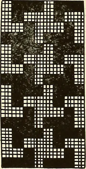 An illustration from A lace guide for makers and collectors; with bibliography and five-language nomenculture, profusely illus. with halftone plates and key designs, 1920, leaf 114