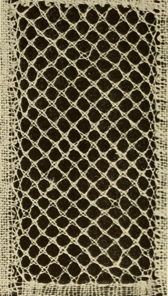 An illustration from A lace guide for makers and collectors; with bibliography and five-language nomenculture, profusely illus. with halftone plates and key designs, 1920, leaf 117