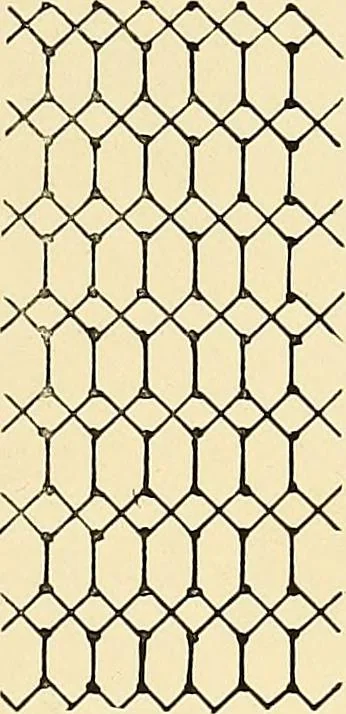 An illustration from A lace guide for makers and collectors; with bibliography and five-language nomenculture, profusely illus. with halftone plates and key designs, 1920, leaf 118