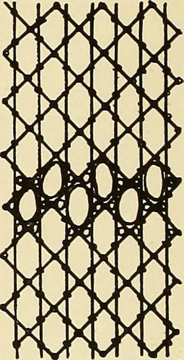 An illustration from A lace guide for makers and collectors; with bibliography and five-language nomenculture, profusely illus. with halftone plates and key designs, 1920, leaf 121