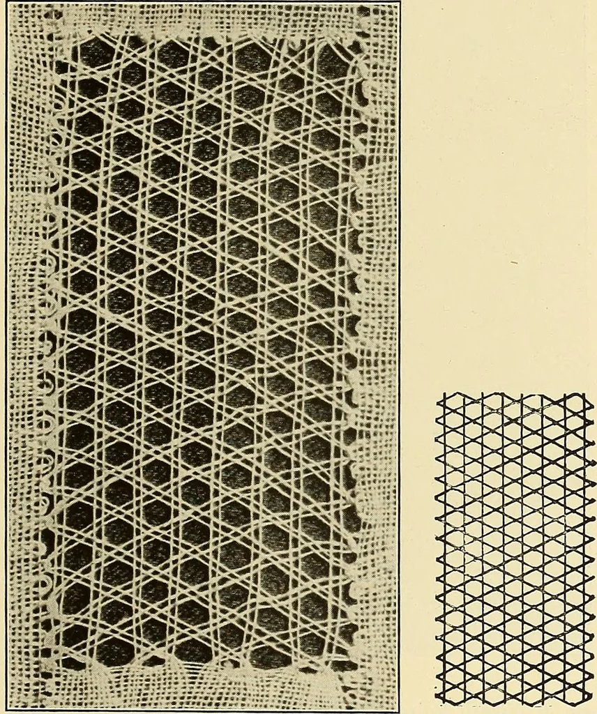 An illustration from A lace guide for makers and collectors; with bibliography and five-language nomenculture, profusely illus. with halftone plates and key designs, 1920, leaf 122