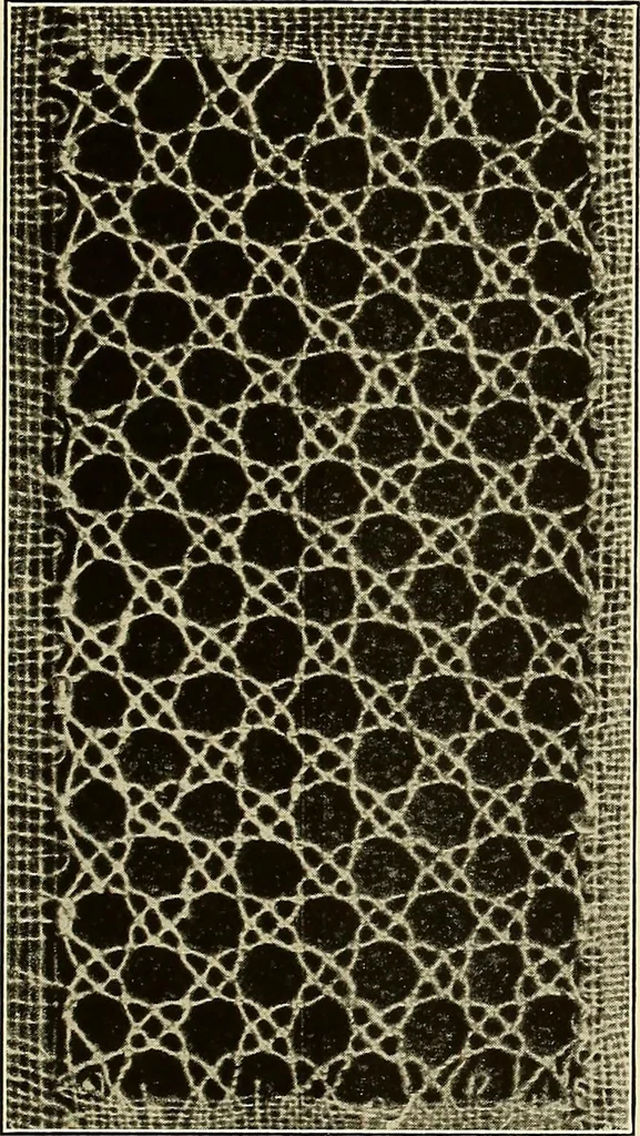 An illustration from A lace guide for makers and collectors; with bibliography and five-language nomenculture, profusely illus. with halftone plates and key designs, 1920, leaf 126