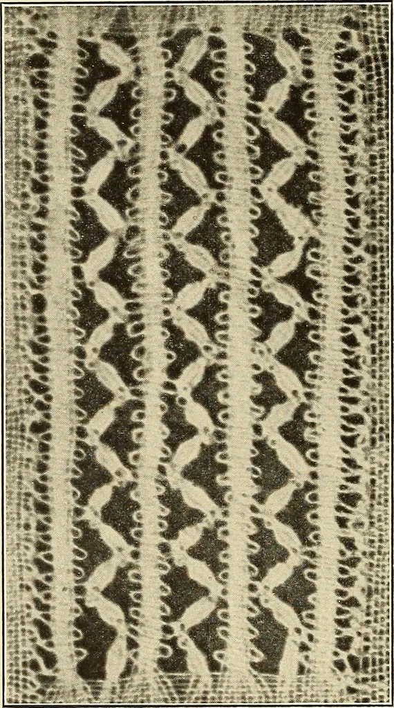 An illustration from A lace guide for makers and collectors; with bibliography and five-language nomenculture, profusely illus. with halftone plates and key designs, 1920, leaf 127