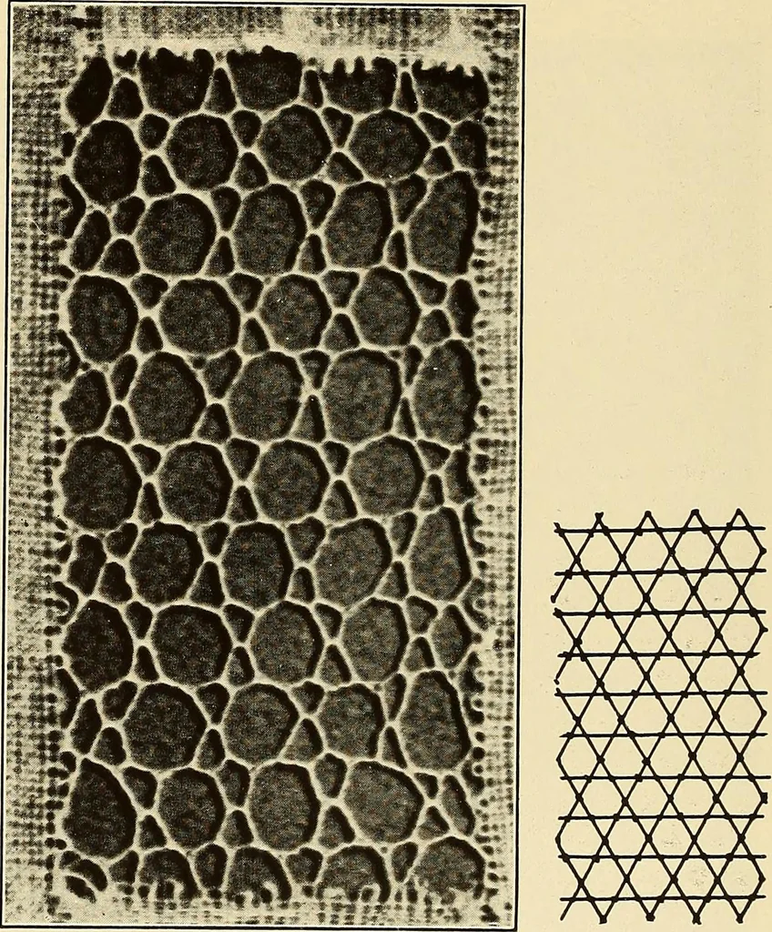 An illustration from A lace guide for makers and collectors; with bibliography and five-language nomenculture, profusely illus. with halftone plates and key designs, 1920, leaf 135