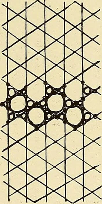 An illustration from A lace guide for makers and collectors; with bibliography and five-language nomenculture, profusely illus. with halftone plates and key designs, 1920, leaf 140