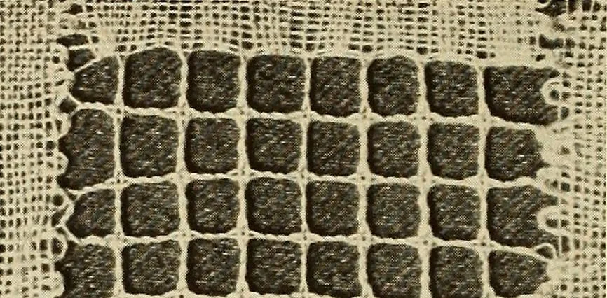 An illustration from A lace guide for makers and collectors; with bibliography and five-language nomenculture, profusely illus. with halftone plates and key designs, 1920, leaf 141