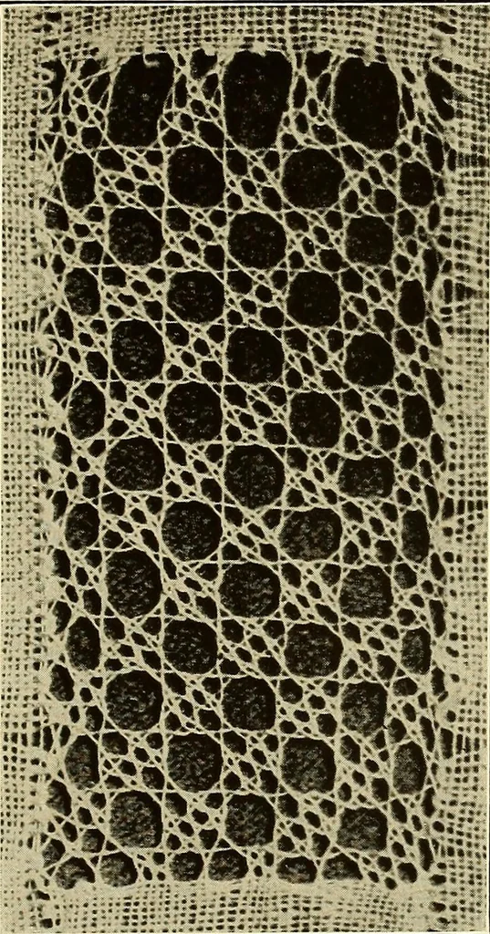 An illustration from A lace guide for makers and collectors; with bibliography and five-language nomenculture, profusely illus. with halftone plates and key designs, 1920, leaf 142