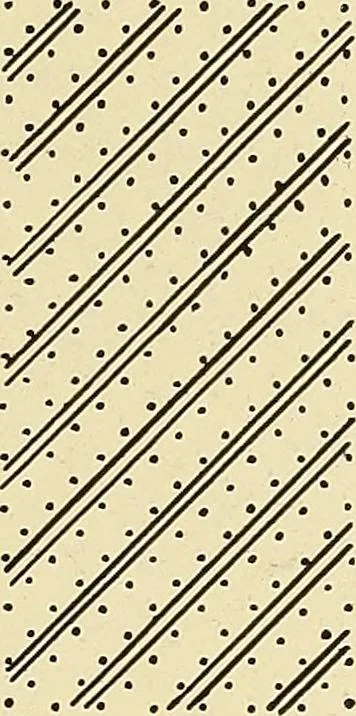 An illustration from A lace guide for makers and collectors; with bibliography and five-language nomenculture, profusely illus. with halftone plates and key designs, 1920, leaf 142