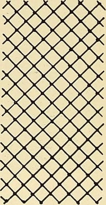 An illustration from A lace guide for makers and collectors; with bibliography and five-language nomenculture, profusely illus. with halftone plates and key designs, 1920, leaf 143