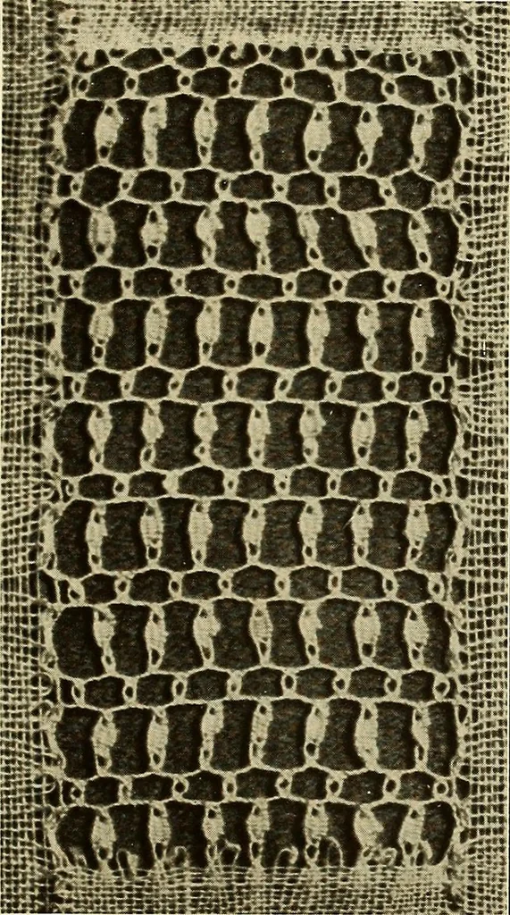 An illustration from A lace guide for makers and collectors; with bibliography and five-language nomenculture, profusely illus. with halftone plates and key designs, 1920, leaf 144