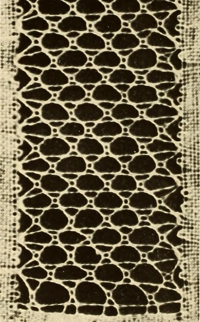 An illustration from A lace guide for makers and collectors; with bibliography and five-language nomenculture, profusely illus. with halftone plates and key designs, 1920, leaf 147