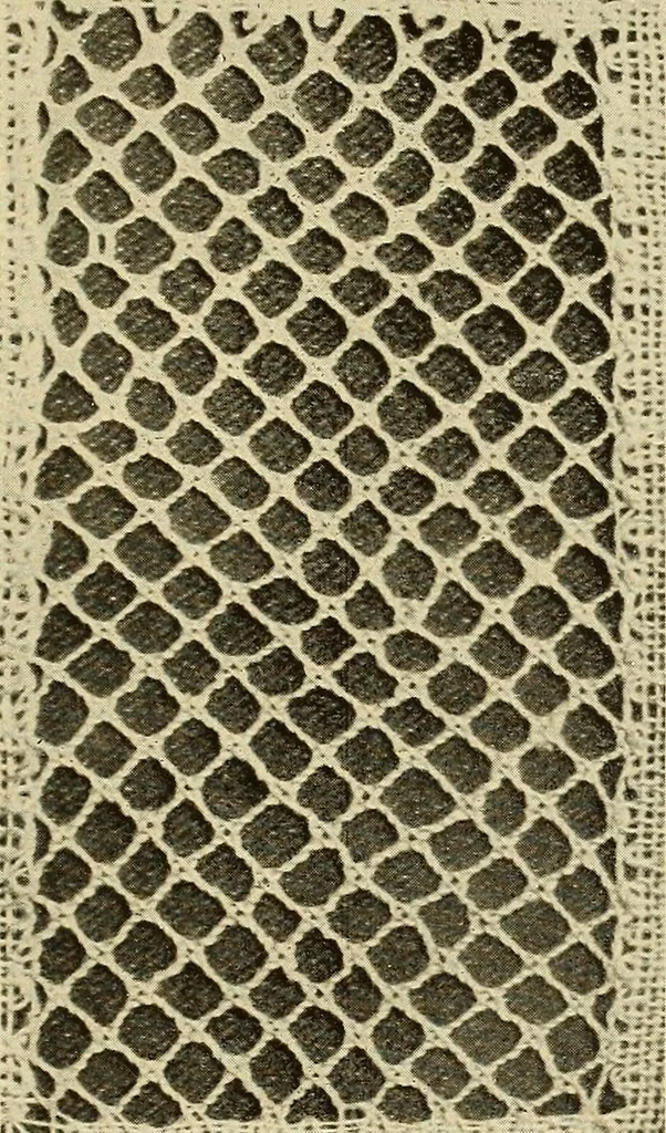 An illustration from A lace guide for makers and collectors; with bibliography and five-language nomenculture, profusely illus. with halftone plates and key designs, 1920, leaf 158