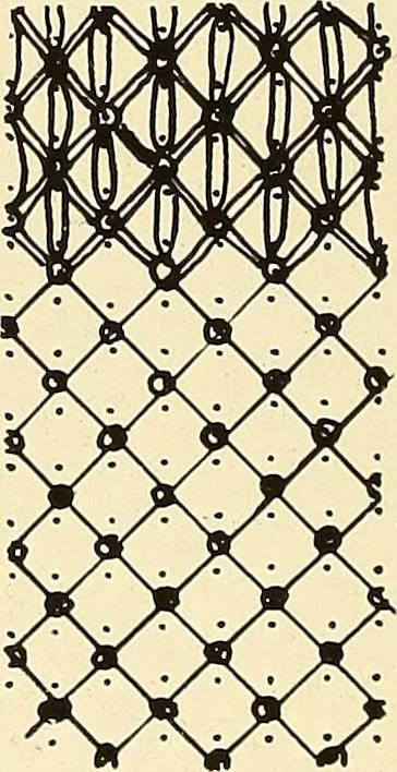 An illustration from A lace guide for makers and collectors; with bibliography and five-language nomenculture, profusely illus. with halftone plates and key designs, 1920, leaf 159