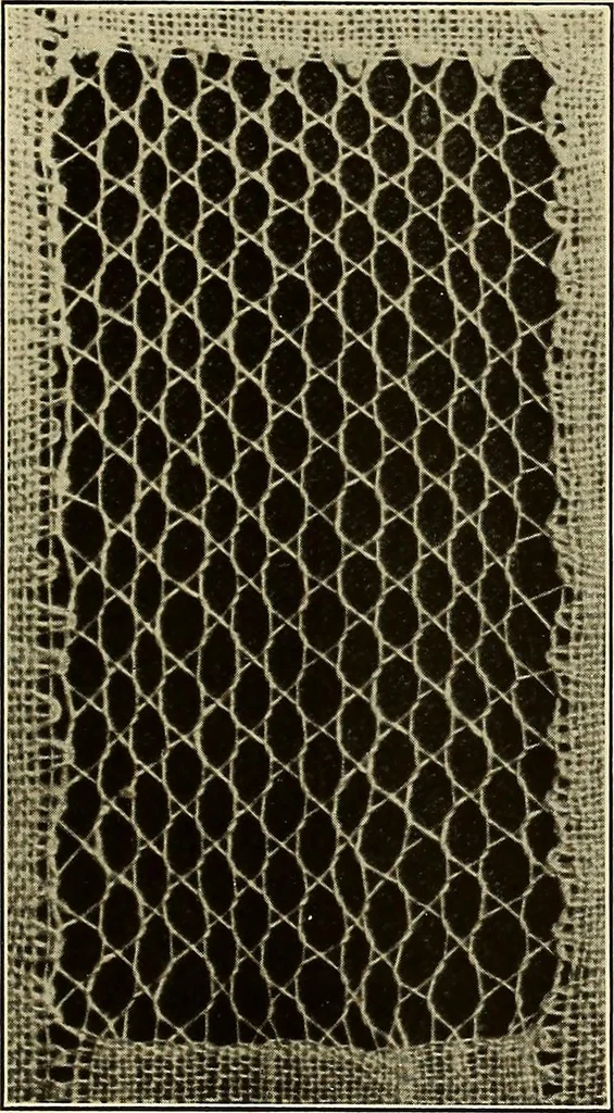 An illustration from A lace guide for makers and collectors; with bibliography and five-language nomenculture, profusely illus. with halftone plates and key designs, 1920, leaf 160