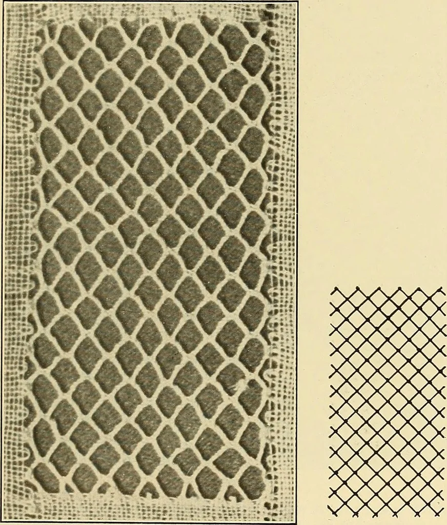 An illustration from A lace guide for makers and collectors; with bibliography and five-language nomenculture, profusely illus. with halftone plates and key designs, 1920, leaf 164