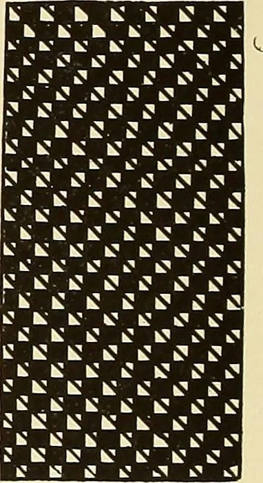 An illustration from A lace guide for makers and collectors; with bibliography and five-language nomenculture, profusely illus. with halftone plates and key designs, 1920, leaf 165