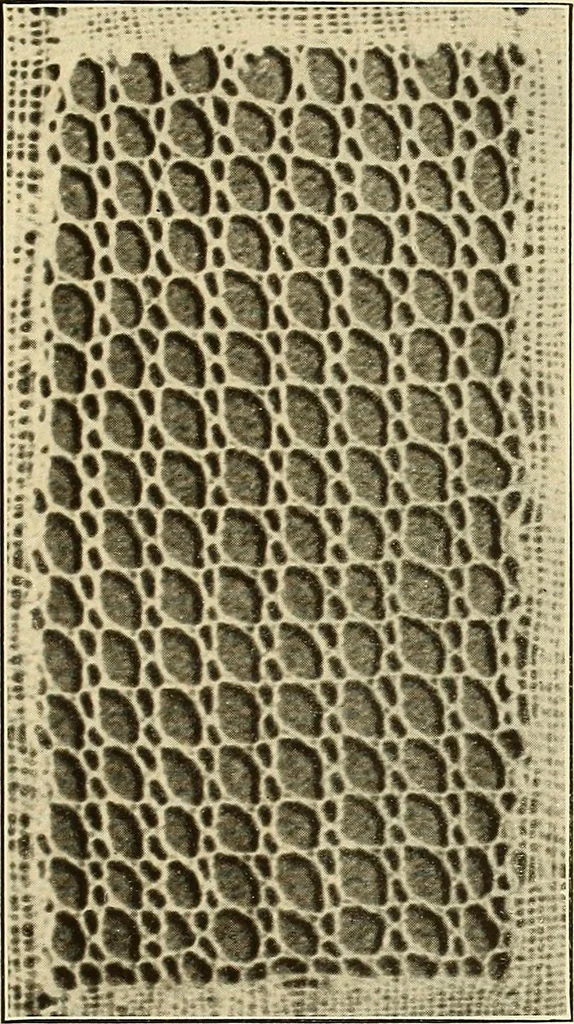 An illustration from A lace guide for makers and collectors; with bibliography and five-language nomenculture, profusely illus. with halftone plates and key designs, 1920, leaf 166