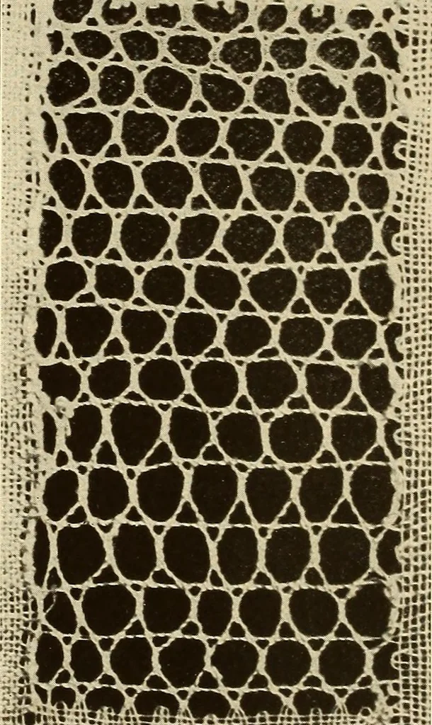 An illustration from A lace guide for makers and collectors; with bibliography and five-language nomenculture, profusely illus. with halftone plates and key designs, 1920, leaf 169