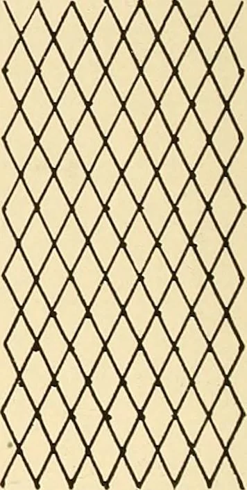 An illustration from A lace guide for makers and collectors; with bibliography and five-language nomenculture, profusely illus. with halftone plates and key designs, 1920, leaf 169
