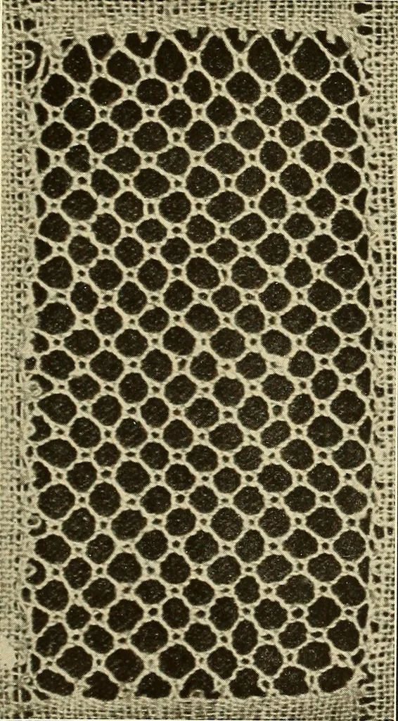 An illustration from A lace guide for makers and collectors; with bibliography and five-language nomenculture, profusely illus. with halftone plates and key designs, 1920, leaf 180
