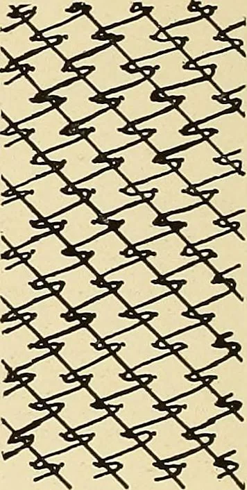 An illustration from A lace guide for makers and collectors; with bibliography and five-language nomenculture, profusely illus. with halftone plates and key designs, 1920, leaf 183