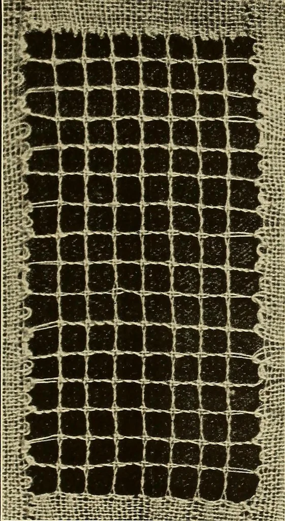 An illustration from A lace guide for makers and collectors; with bibliography and five-language nomenculture, profusely illus. with halftone plates and key designs, 1920, leaf 184