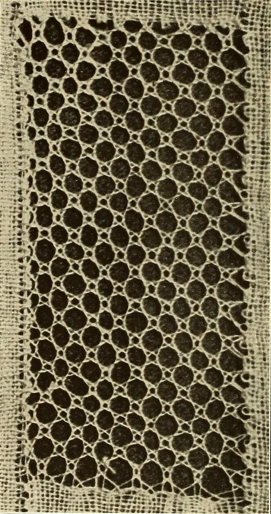 An illustration from A lace guide for makers and collectors; with bibliography and five-language nomenculture, profusely illus. with halftone plates and key designs, 1920, leaf 185
