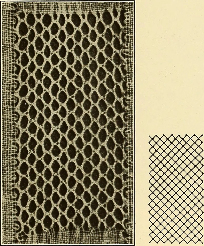 An illustration from A lace guide for makers and collectors; with bibliography and five-language nomenculture, profusely illus. with halftone plates and key designs, 1920, leaf 186